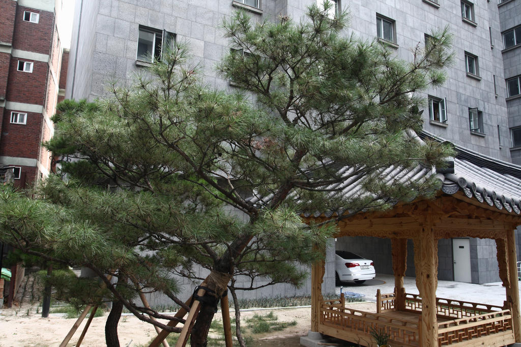 Fortune Hostel Jongno Szöul Kültér fotó